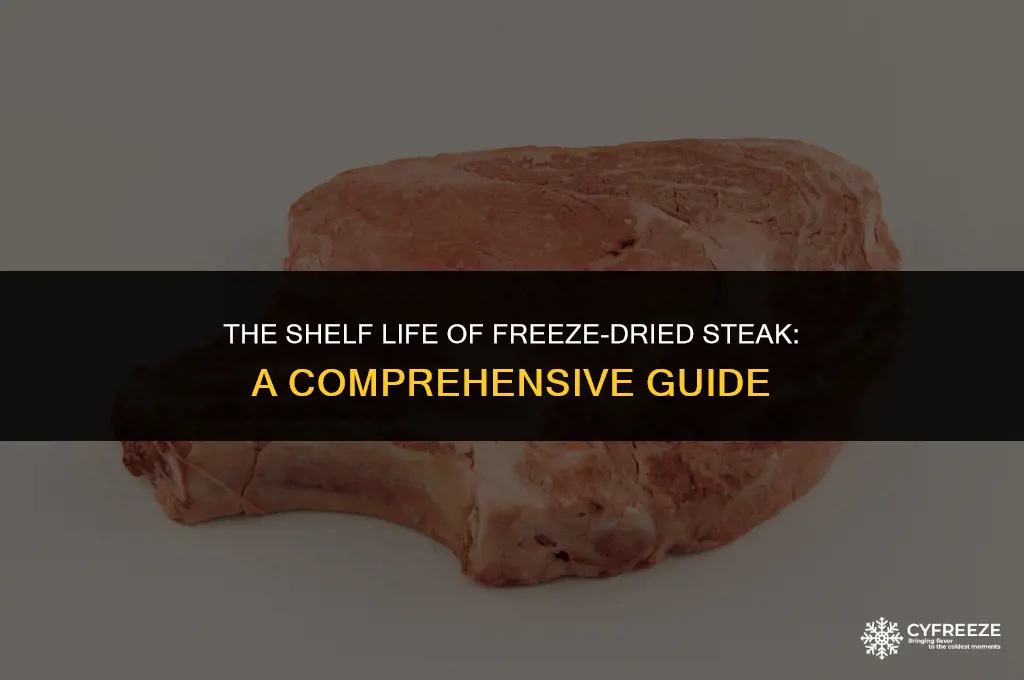 how long will freeze dried steak last