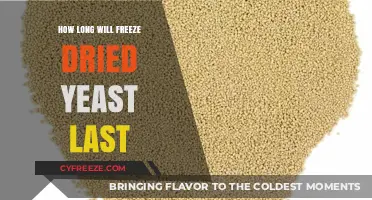 The Shelf Life of Freeze-Dried Yeast: A Comprehensive Guide