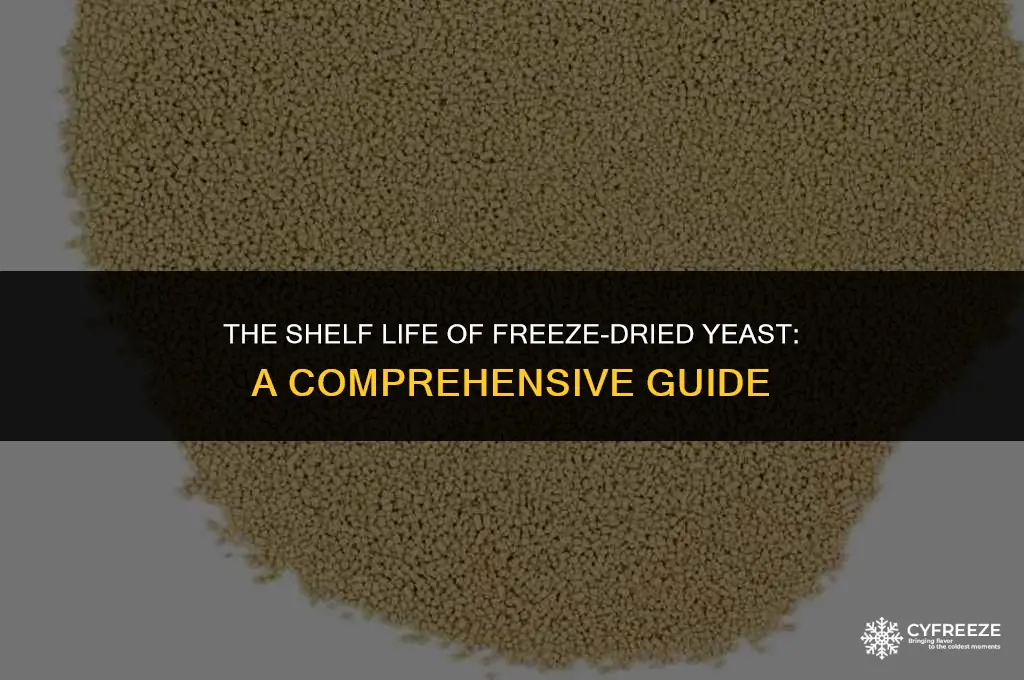 how long will freeze dried yeast last