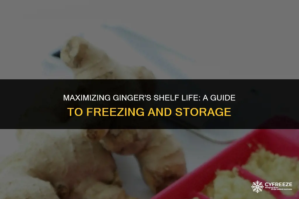 how long will freeze ginger last