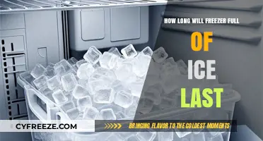 Maximizing Your Ice Storage: A Guide to Freezer Longevity
