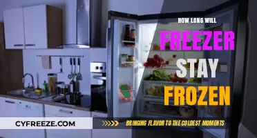 Power Outage Survival: How Long Will Your Freezer Stay Frozen?