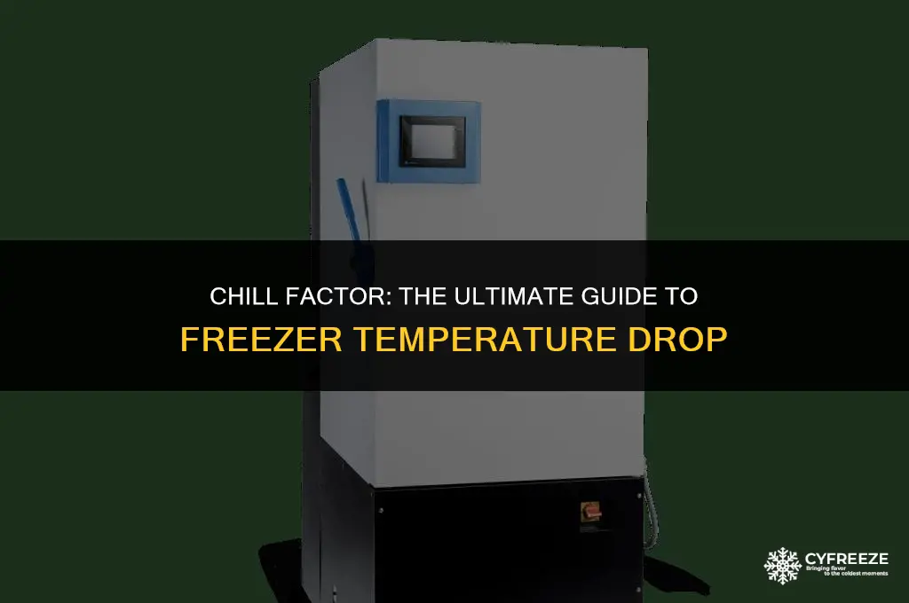 how long will freezer take to get cold