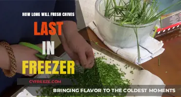 Maximizing Freshness: The Ultimate Guide to Freezing Chives