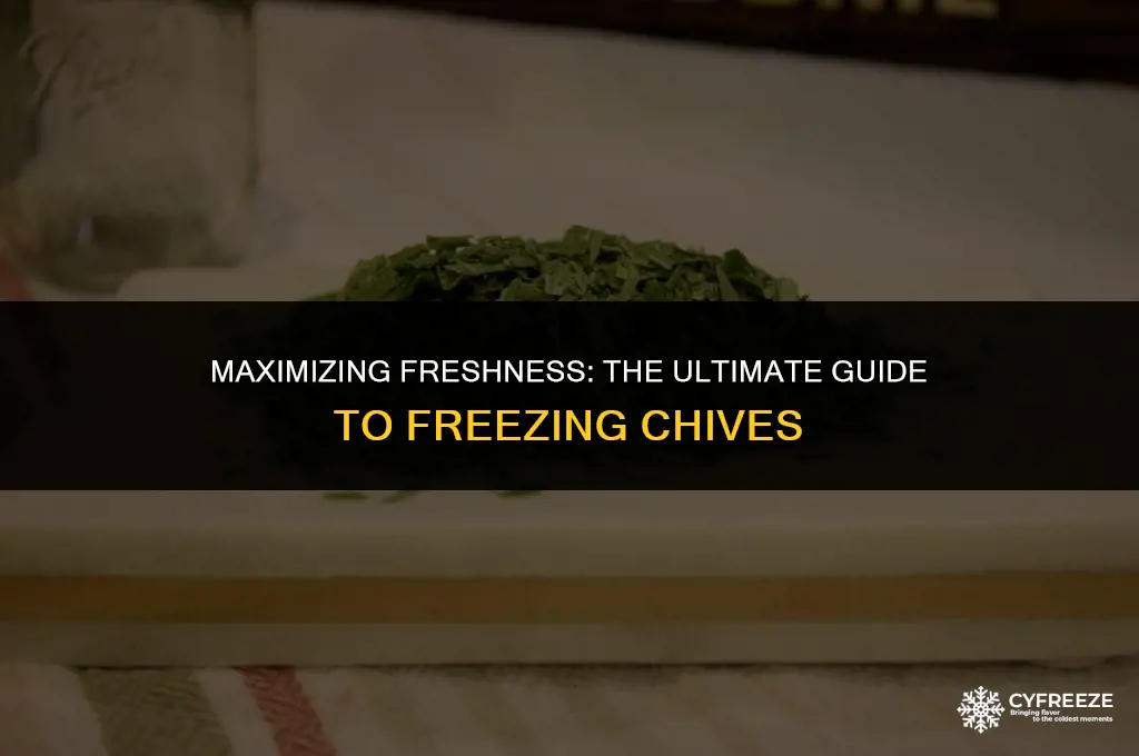 how long will fresh chives last in freezer
