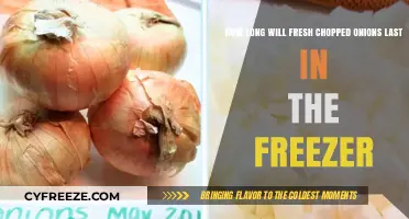 Maximizing Freshness: The Ultimate Guide to Freezing Chopped Onions