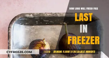 Maximizing Freshness: The Ultimate Guide to Freezing Figs