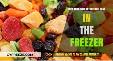Maximizing Freshness: A Guide to Freezing Fruit Effectively