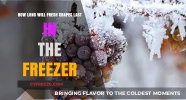 Maximizing Freshness: A Guide to Freezing Grapes for Optimal Taste and Texture