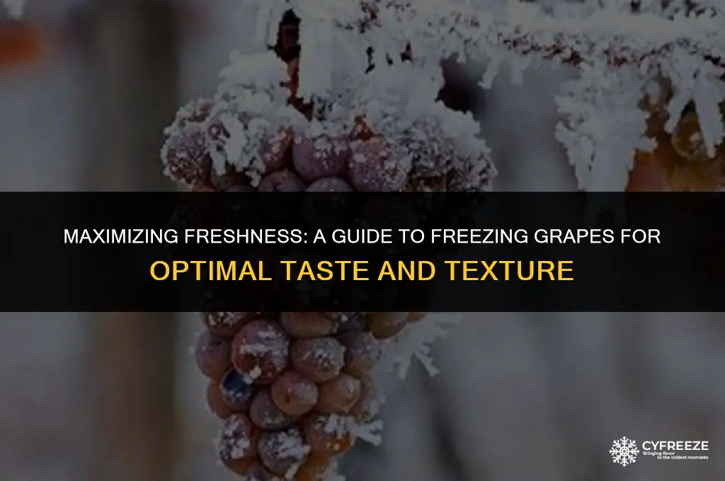 how long will fresh grapes last in the freezer