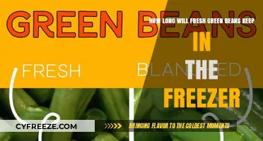 Maximizing Freshness: The Ultimate Guide to Freezing Green Beans
