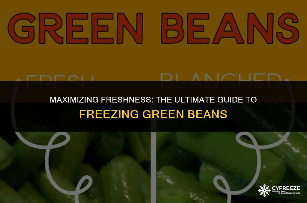 how long will fresh green beans keep in the freezer