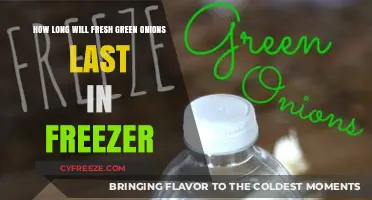 Maximizing Freshness: The Ultimate Guide to Freezing Green Onions