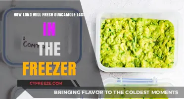 Maximizing Freshness: A Guide to Freezing Guacamole