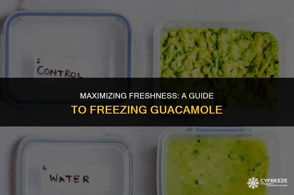 how long will fresh guacamole last in the freezer