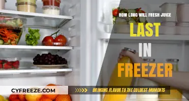Fresh Juice Storage: Maximizing Shelf Life in the Freezer