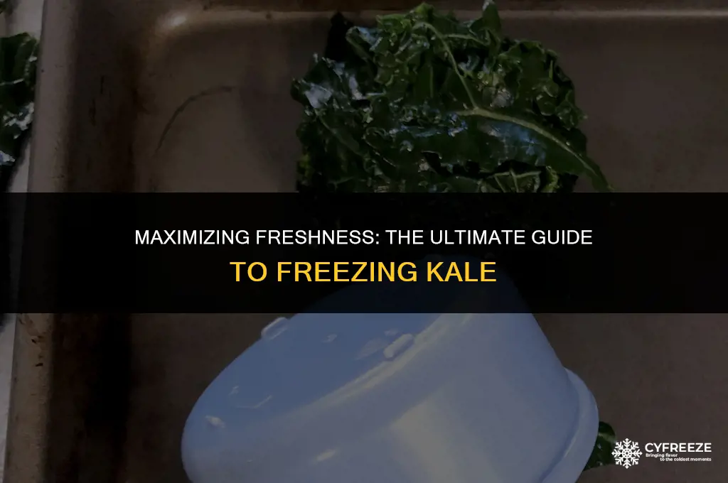 how long will fresh kale last in freezer