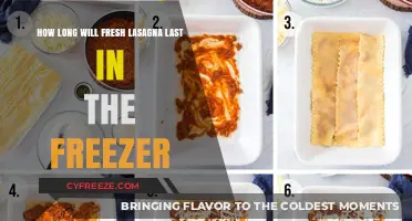 Maximizing Freshness: The Ultimate Guide to Freezing Lasagna