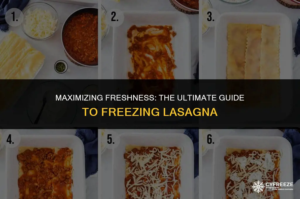 how long will fresh lasagna last in the freezer