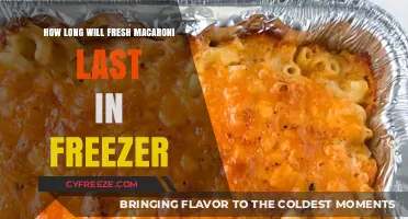 Maximizing Freshness: The Ultimate Guide to Freezing Macaroni