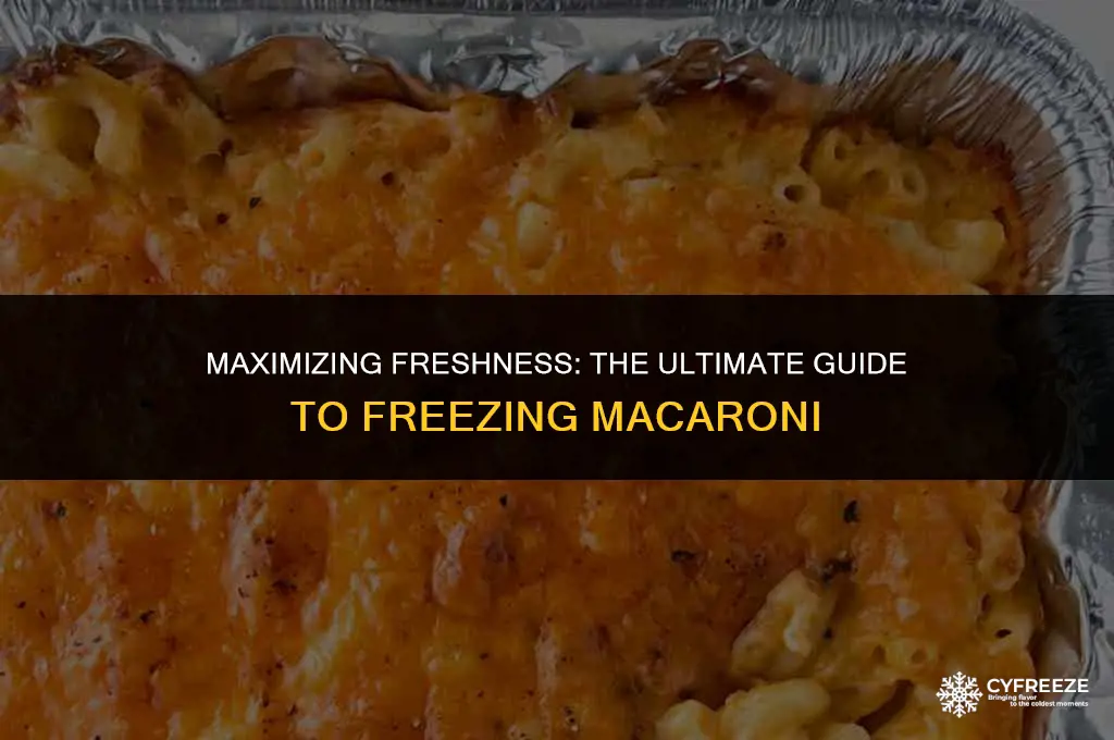 how long will fresh macaroni last in freezer