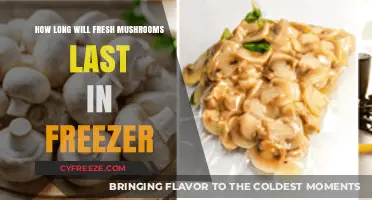 Maximizing Freshness: A Guide to Freezing Mushrooms