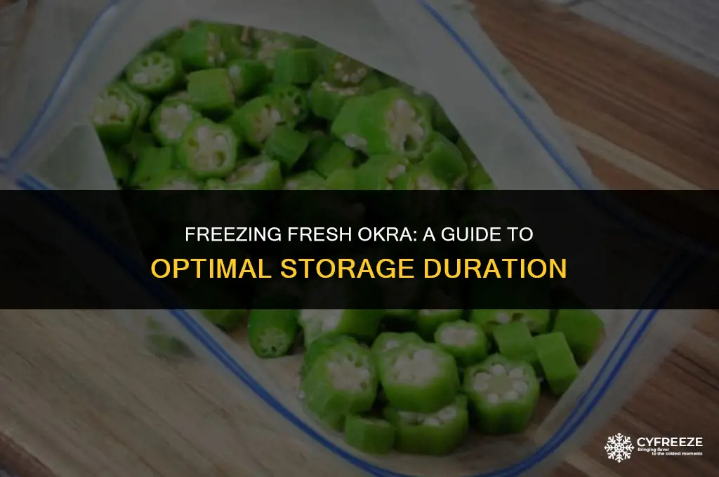 how long will fresh okra keep in the freezer