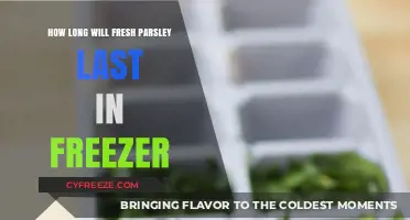 Maximizing Freshness: The Ultimate Guide to Freezing Parsley