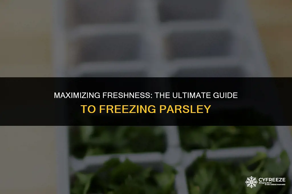how long will fresh parsley last in freezer