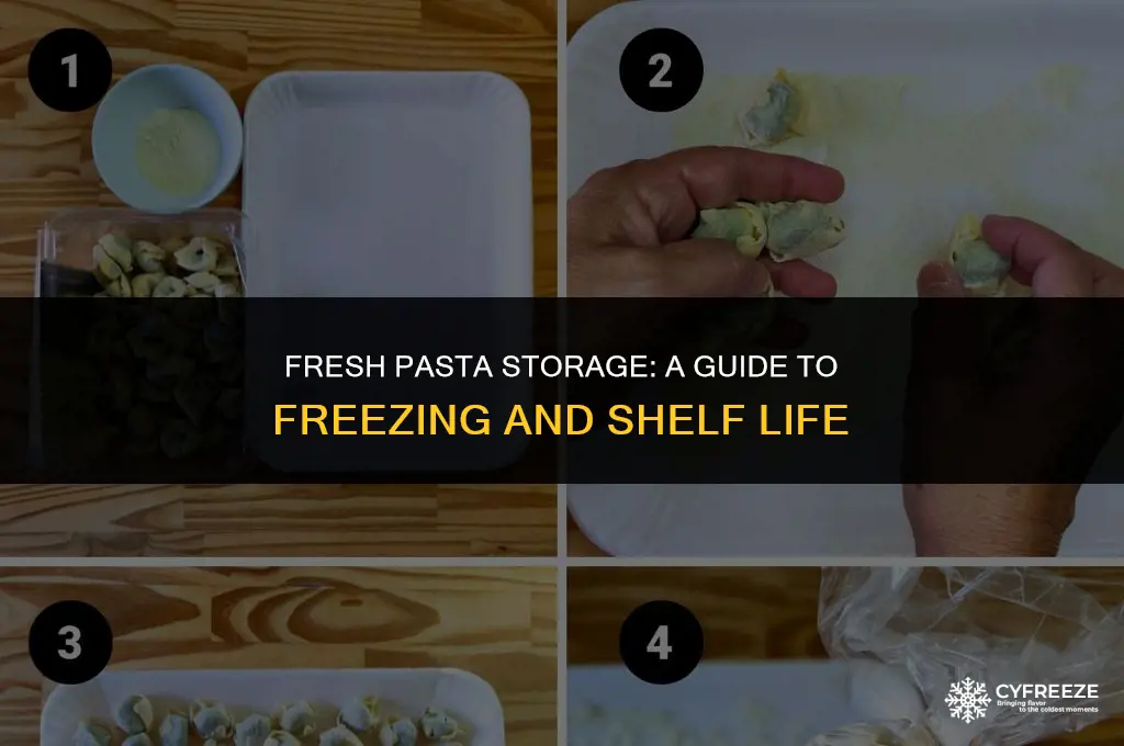how long will fresh pasta keep in the freezer