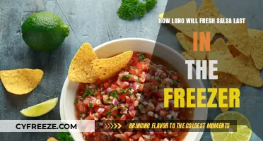 Maximizing Freshness: A Guide to Freezing Salsa for Optimal Taste