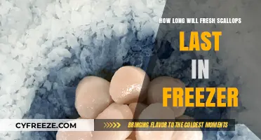 Maximizing Freshness: A Guide to Freezing Scallops Effectively