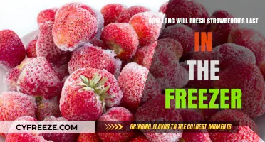 Maximizing Freshness: The Ultimate Guide to Freezing Strawberries