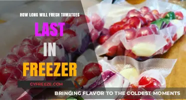 Maximizing Freshness: The Ultimate Guide to Freezing Tomatoes
