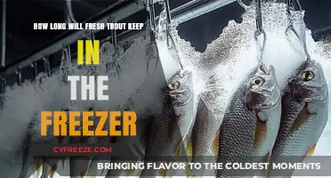 Fresh Trout Storage: Freezer Lifespan and Quality Tips