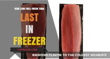 Maximizing Freshness: A Guide to Freezing Tuna for Optimal Taste and Safety