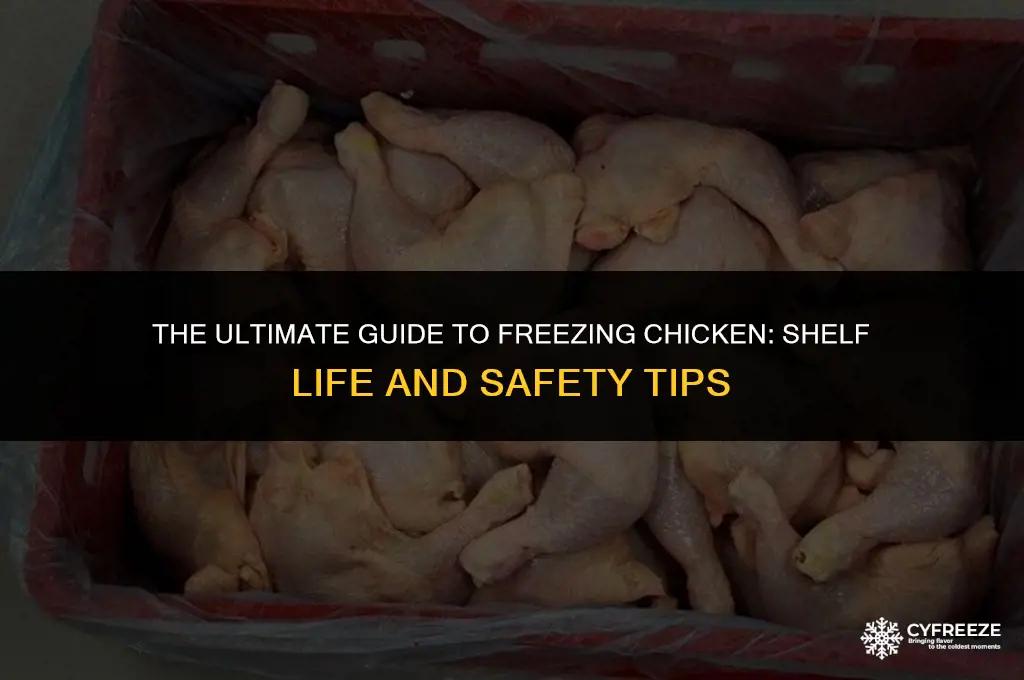 how long will frozen chicken last in the freezer