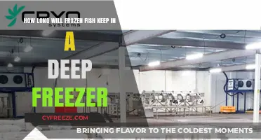 Deep Freeze Freshness: The Ultimate Guide to Frozen Fish Storage