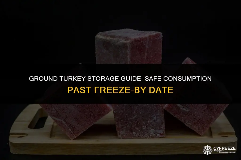 how long will frozen ground turkey last past freeze-by date