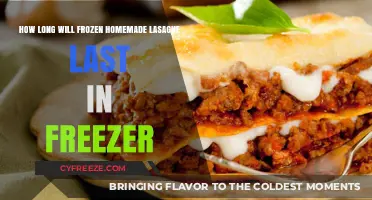 Savoring Homemade Lasagna: A Guide to Freezer Longevity