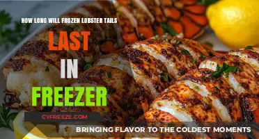 Preserving Perfection: The Ultimate Guide to Freezing Lobster Tails