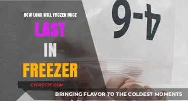 Maximizing Storage: The Lifespan of Frozen Mice in Your Freezer