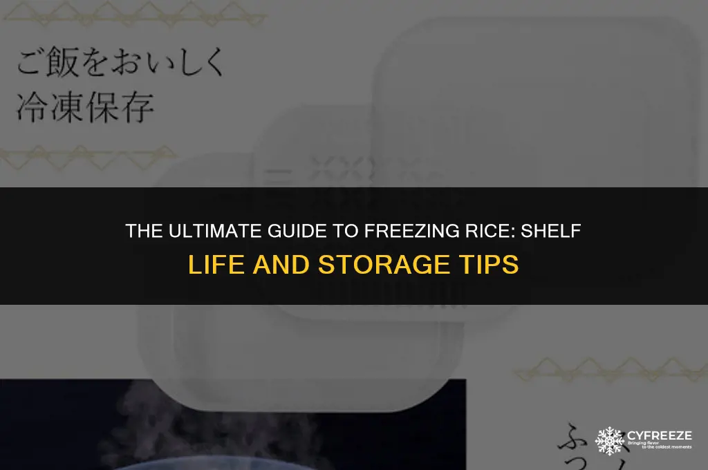 how long will frozen rice last in freezer