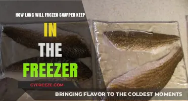 Freshness Preserved: The Ultimate Guide to Freezing Snapper