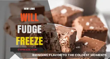 The Sweet Science: Understanding Fudge's Freezing Time