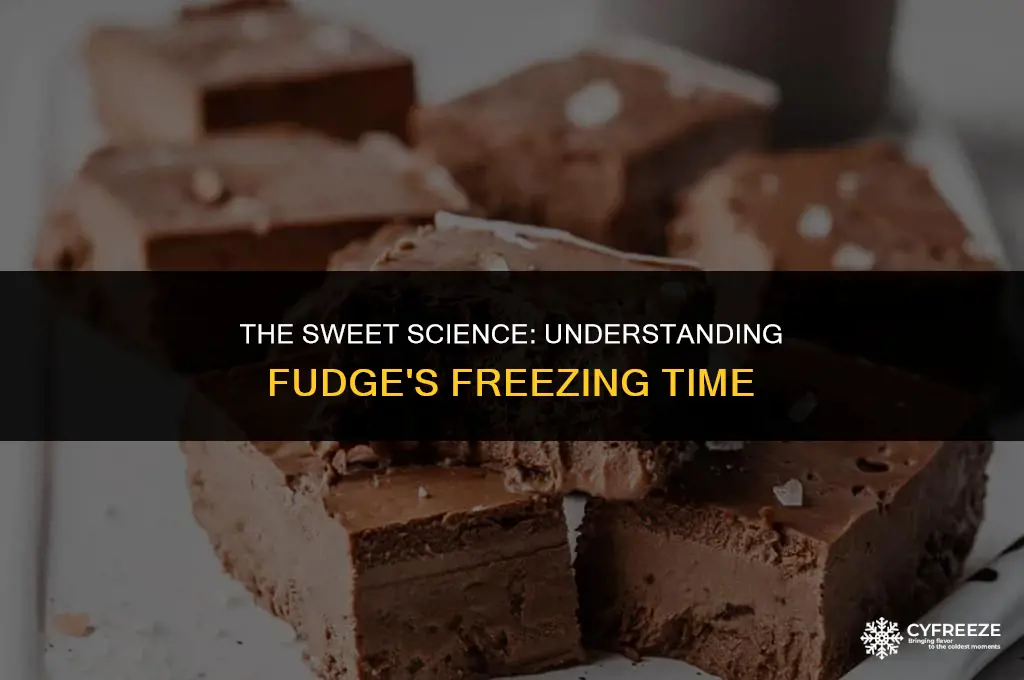 how long will fudge freeze
