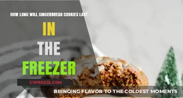 Maximizing Freshness: The Ultimate Guide to Freezing Gingerbread Cookies