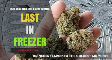 Preserving Sweetness: The Ultimate Guide to Freezing Girl Scout Cookies