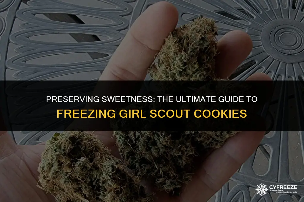 how long will girl scout cookies last in freezer