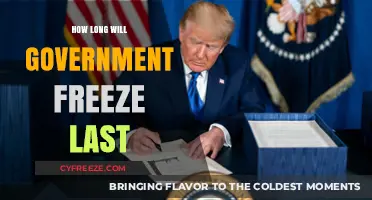 Navigating the Government Freeze: Insights on Duration and Impact